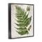 Stupell Industries Distressed Fern Leaf Framed Giclee Wall Art Design by Susan Arnot